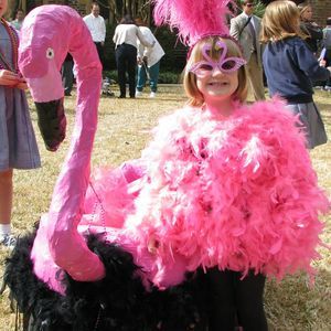 Meet your Posher, Elizabeth